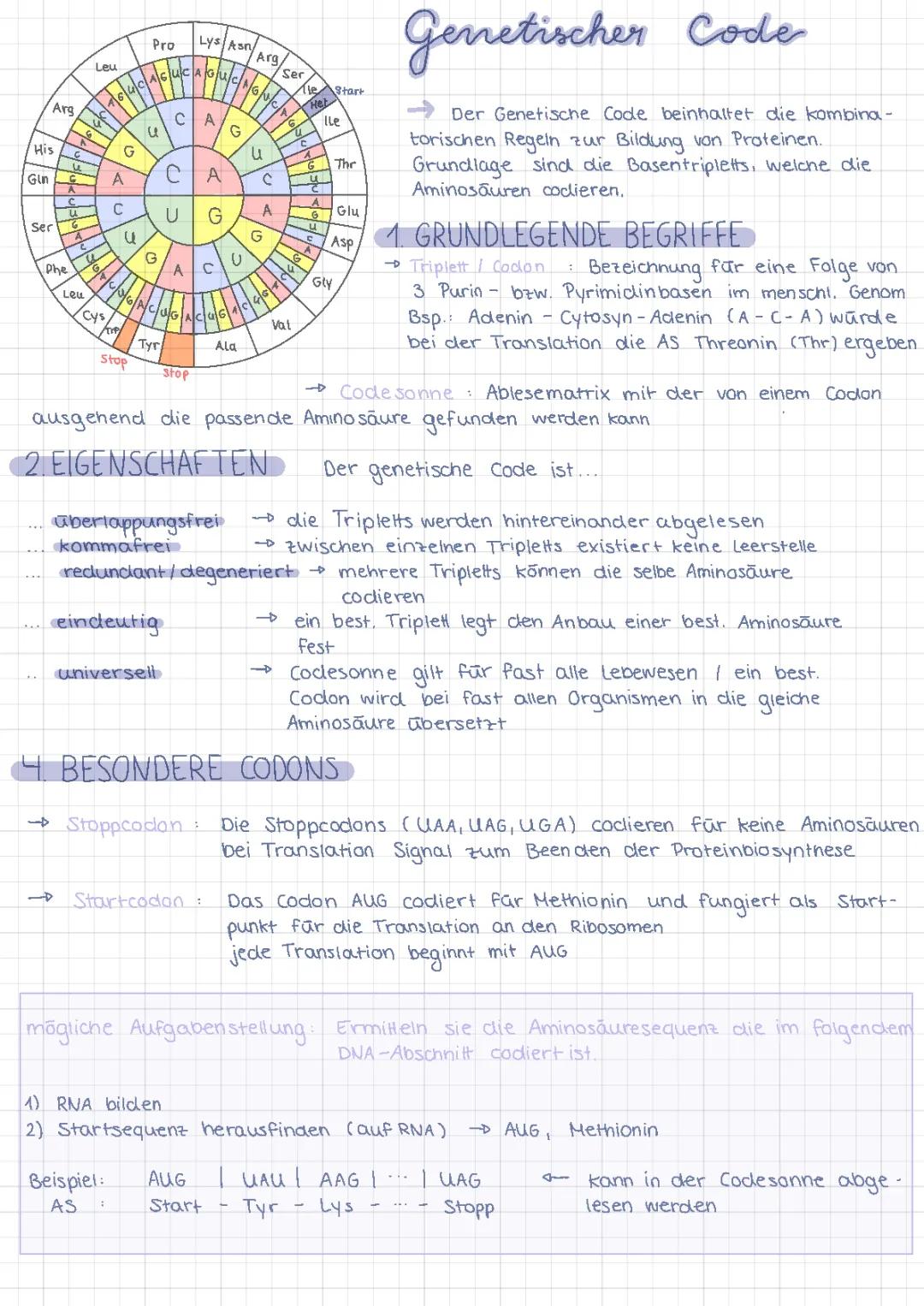 Grundlagen des genetischen Codes: Codons und Aufgaben