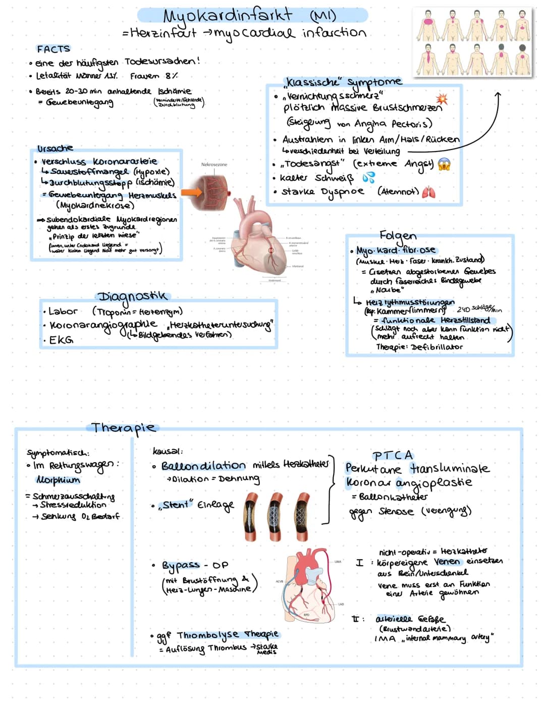 =
Herzinsuffizienz
krankhafte Unfähigkeit Herzens
Unvermögen Herzens, das aus den venen anströmende Blut
Vollständig in das Arterien system 