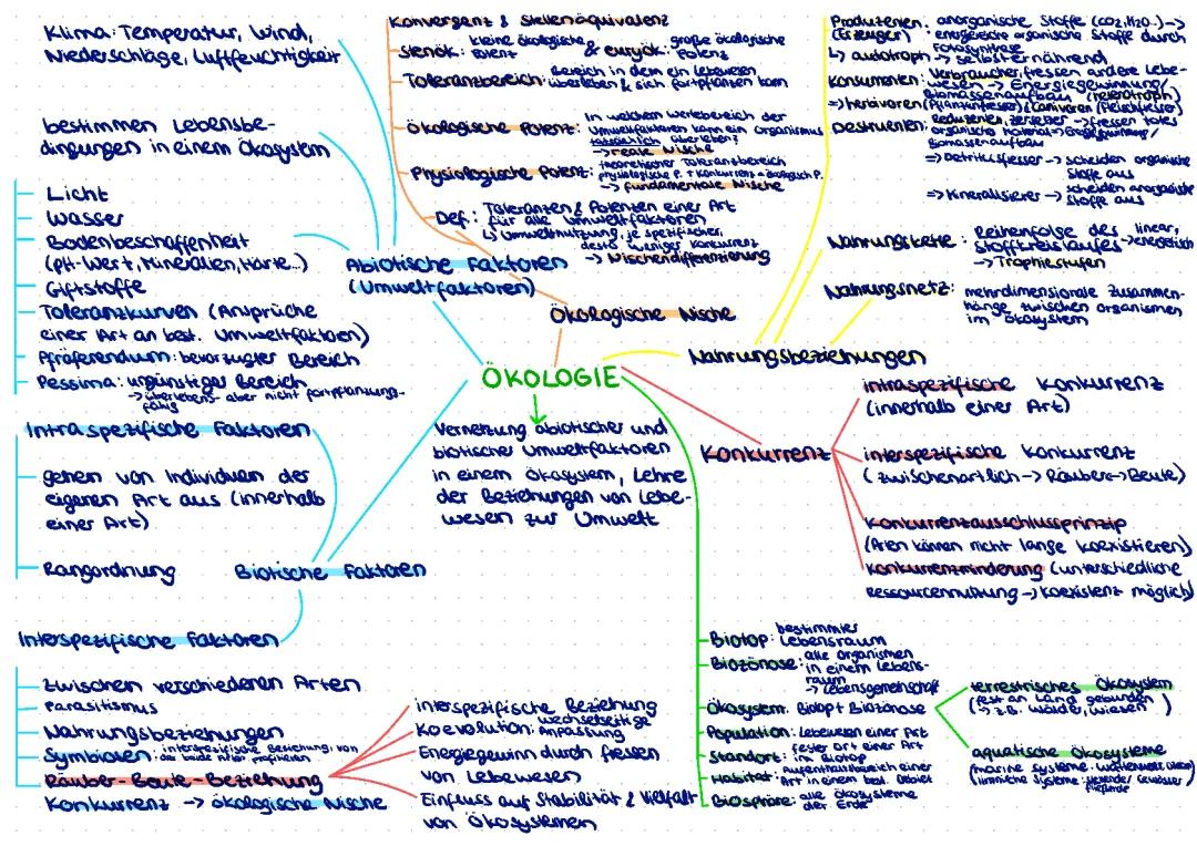 Ökologische Potenz und Nischen einfach erklärt