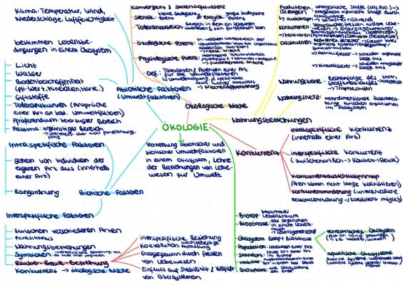 Know Mindmap Ökologie  thumbnail