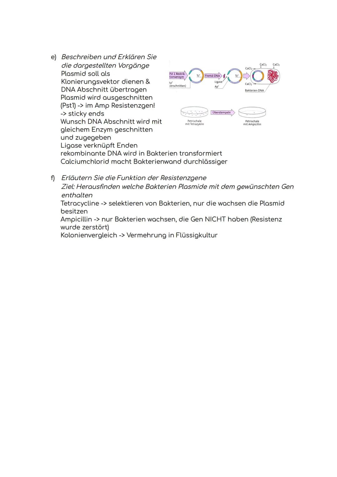 Biologie-Klausur
1. Das Gehirn
a) Aufbau des Gehirns
b) Aufgaben des Gehirns
1. Großhirn
2. Balken
3. Hypophyse/
Hirnanhangdrüse
4. Zwischen