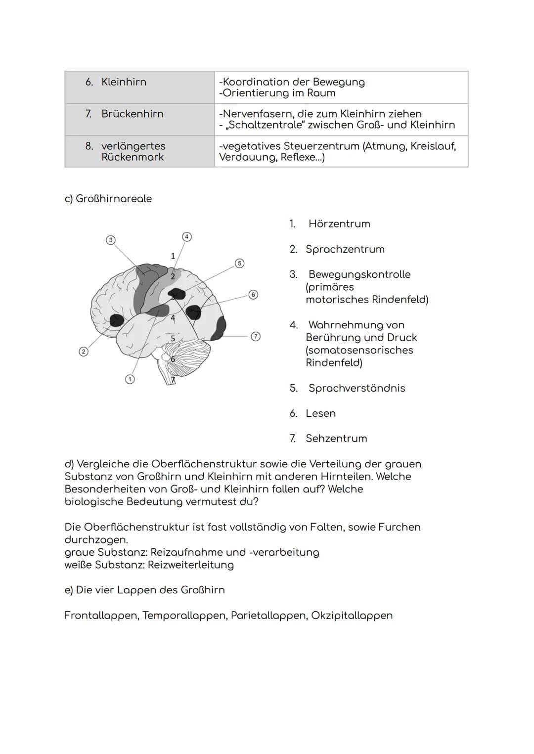 Biologie-Klausur
1. Das Gehirn
a) Aufbau des Gehirns
b) Aufgaben des Gehirns
1. Großhirn
2. Balken
3. Hypophyse/
Hirnanhangdrüse
4. Zwischen