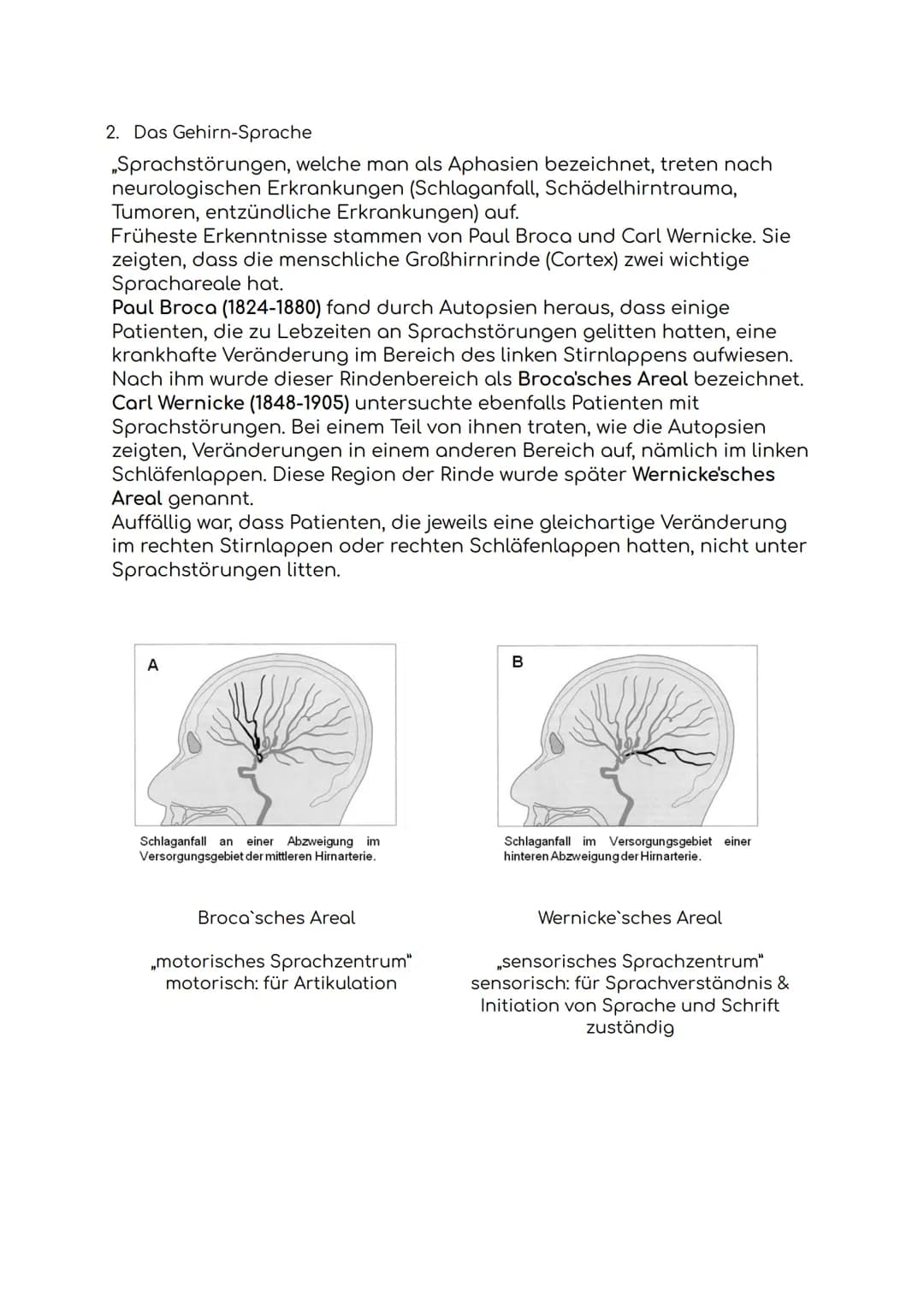 Biologie-Klausur
1. Das Gehirn
a) Aufbau des Gehirns
b) Aufgaben des Gehirns
1. Großhirn
2. Balken
3. Hypophyse/
Hirnanhangdrüse
4. Zwischen