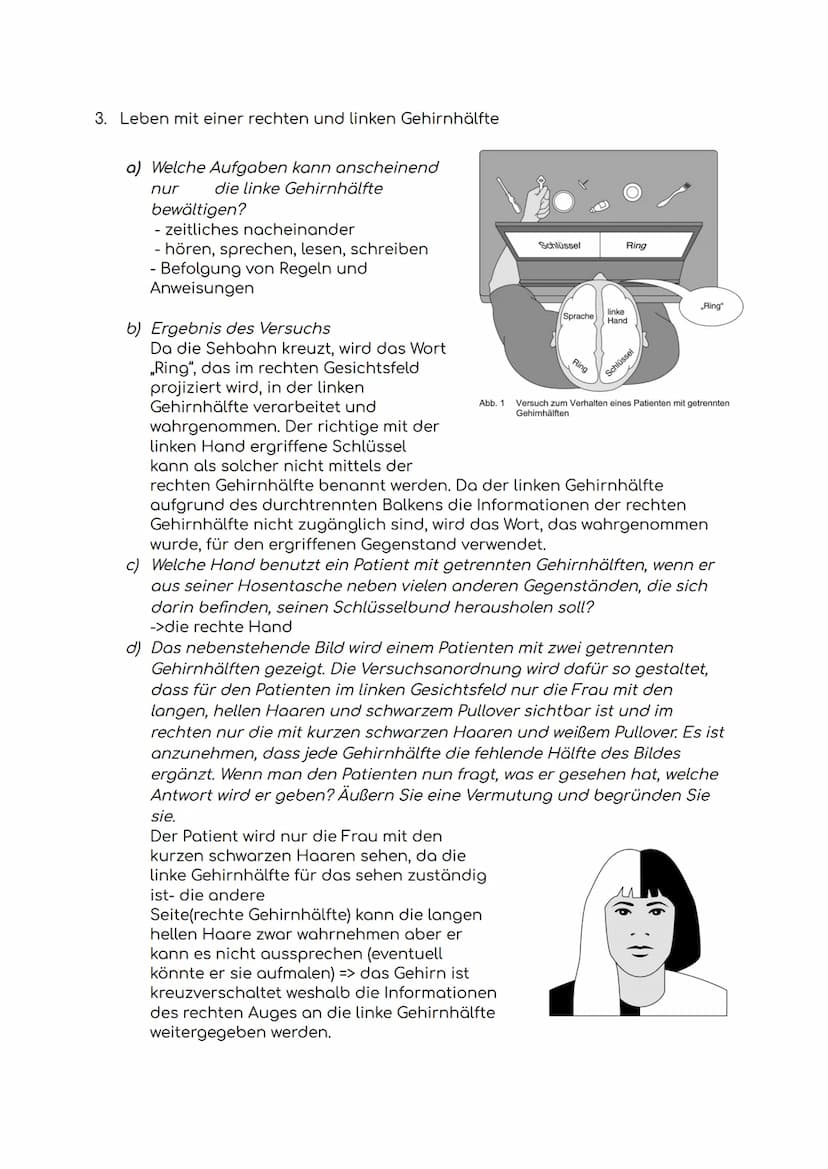 Biologie-Klausur
1. Das Gehirn
a) Aufbau des Gehirns
b) Aufgaben des Gehirns
1. Großhirn
2. Balken
3. Hypophyse/
Hirnanhangdrüse
4. Zwischen