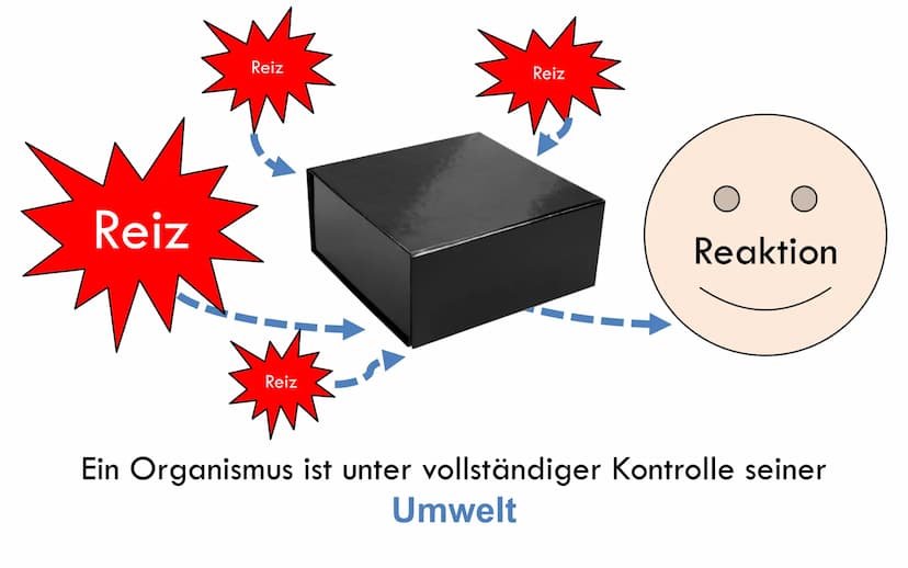 BEHAVIORISMUS GLIEDERUNG
●
Definition
Die Geschichte
Fazit
Quellen
Fragen pl
to
-shrunk
or a
175-
ing in order to pr
PRES- pre-side (pri zīd