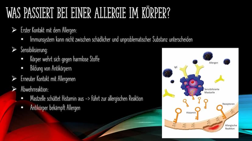 ALLERGIEN
Was ist eine Allergie?
Was passiert bei einer Allergie im Körper?
Welche Allergietypen gibt es?
Wie stelle ich eine Allergie fest?