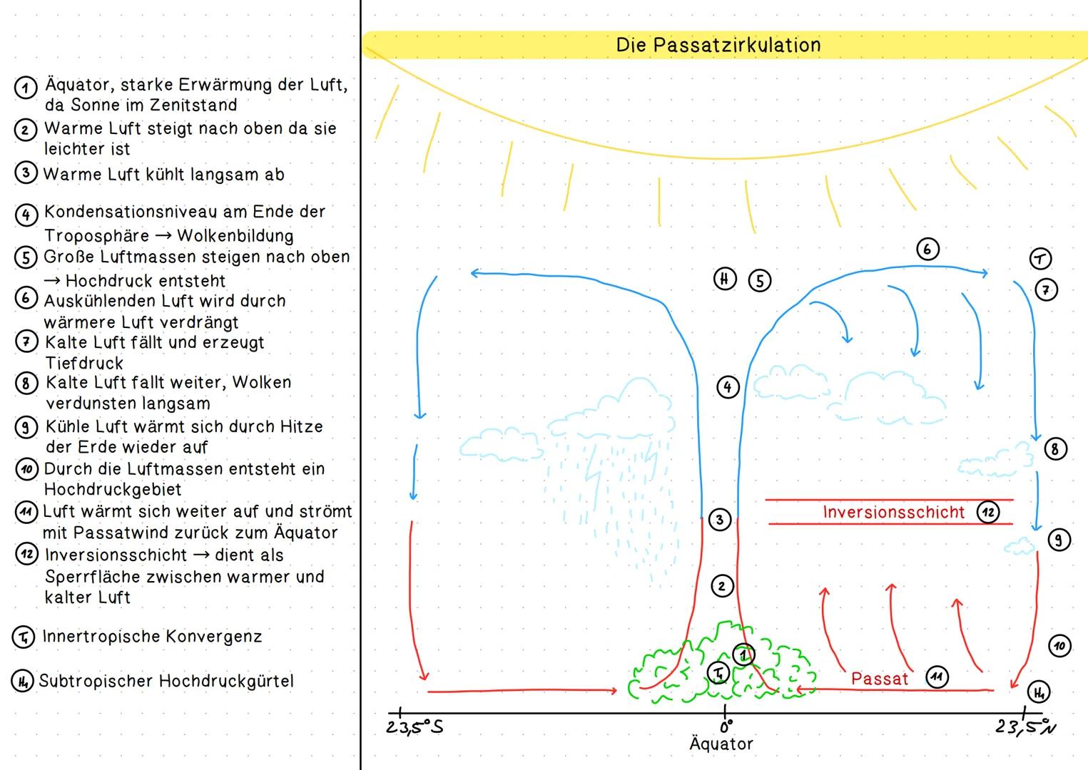 ⑦ Äquator, starke Erwärmung der Luft,
da Sonne im Zenitstand

(2) Warme Luft steigt nach oben da sie
leichter ist

3 Warme Luft kühlt langsa