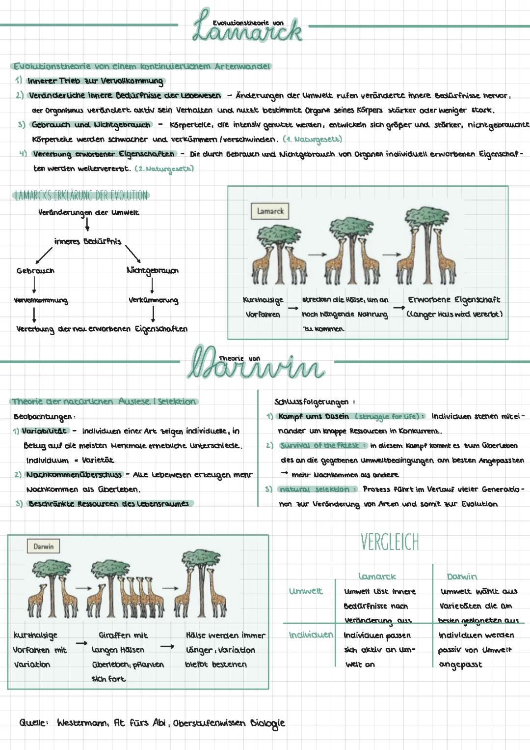 Lamarck vs Darwin: Giraffen, Tabellen und einfache Erklärungen