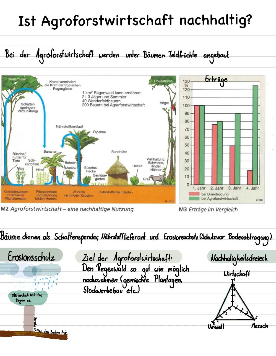 Agroforstwirtschaft 