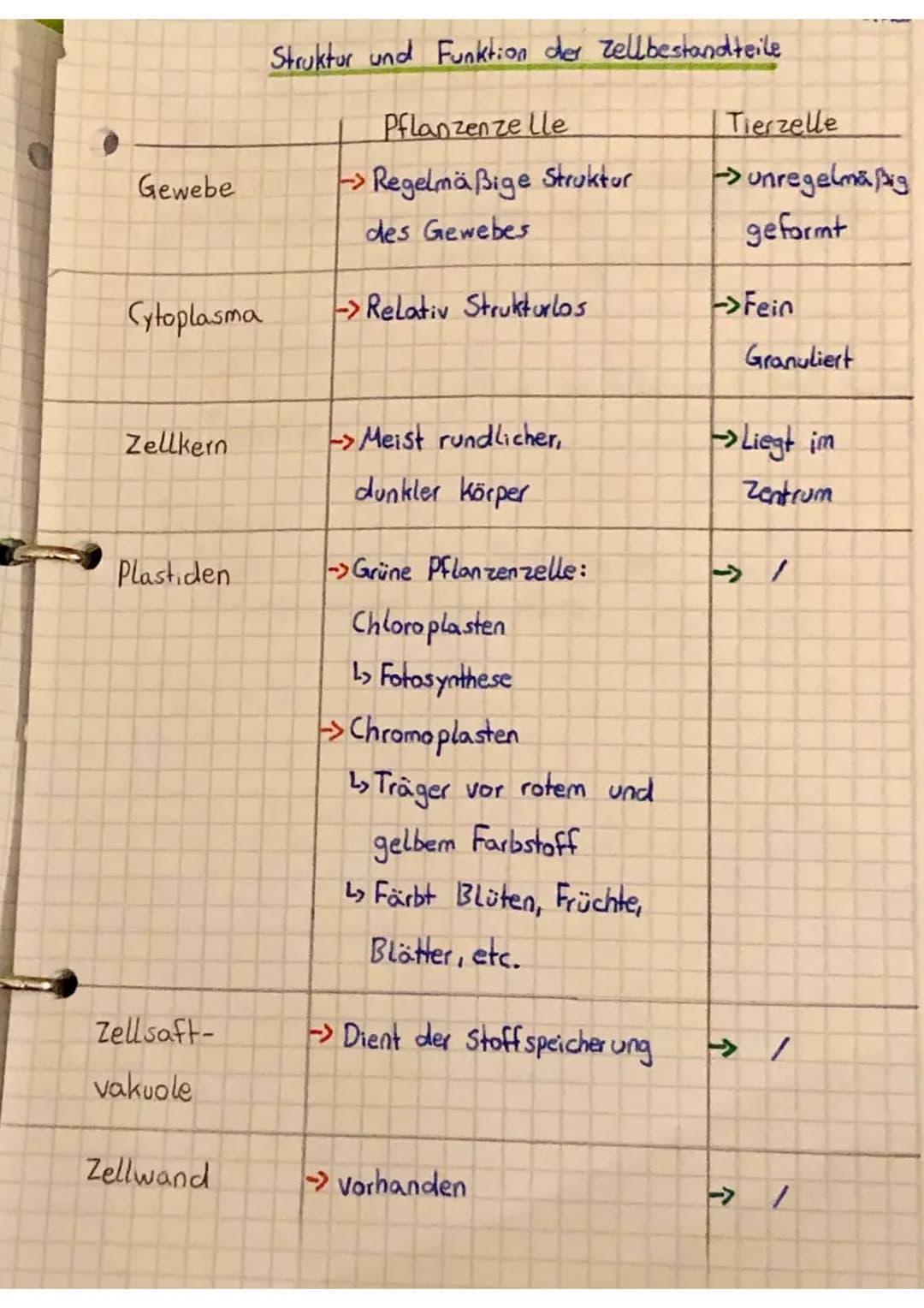 Pflanzenzelle
Zellmembran
-Cytoplasma
Chloroplasten
- Zellwand
-L> Verbindungskanäle
Vakuole
Vesikel
raves ER mit Ribosomen
-
Unterschiede -