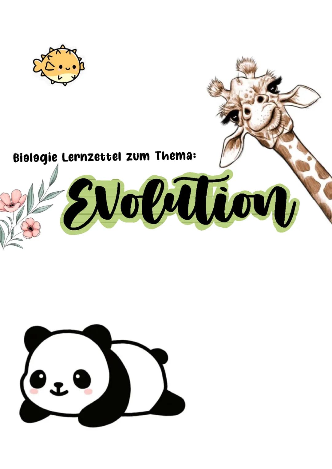 Evolution Lernzettel