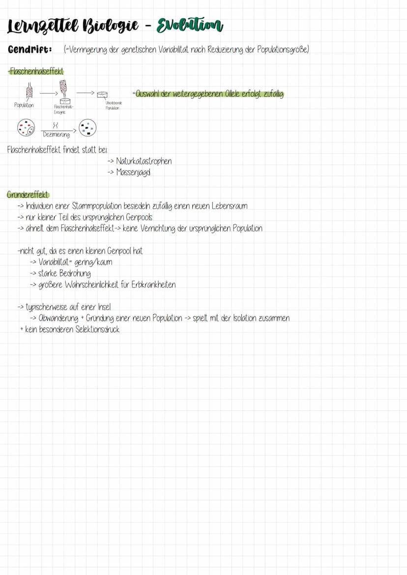 Biologie Lernzettel zum Thema:
Evolution Lernzettel Biologie - Evolution
Evolutionstheorien:
-Carl von Linné (1707-1778)
-> Ortenkonstanz
->
