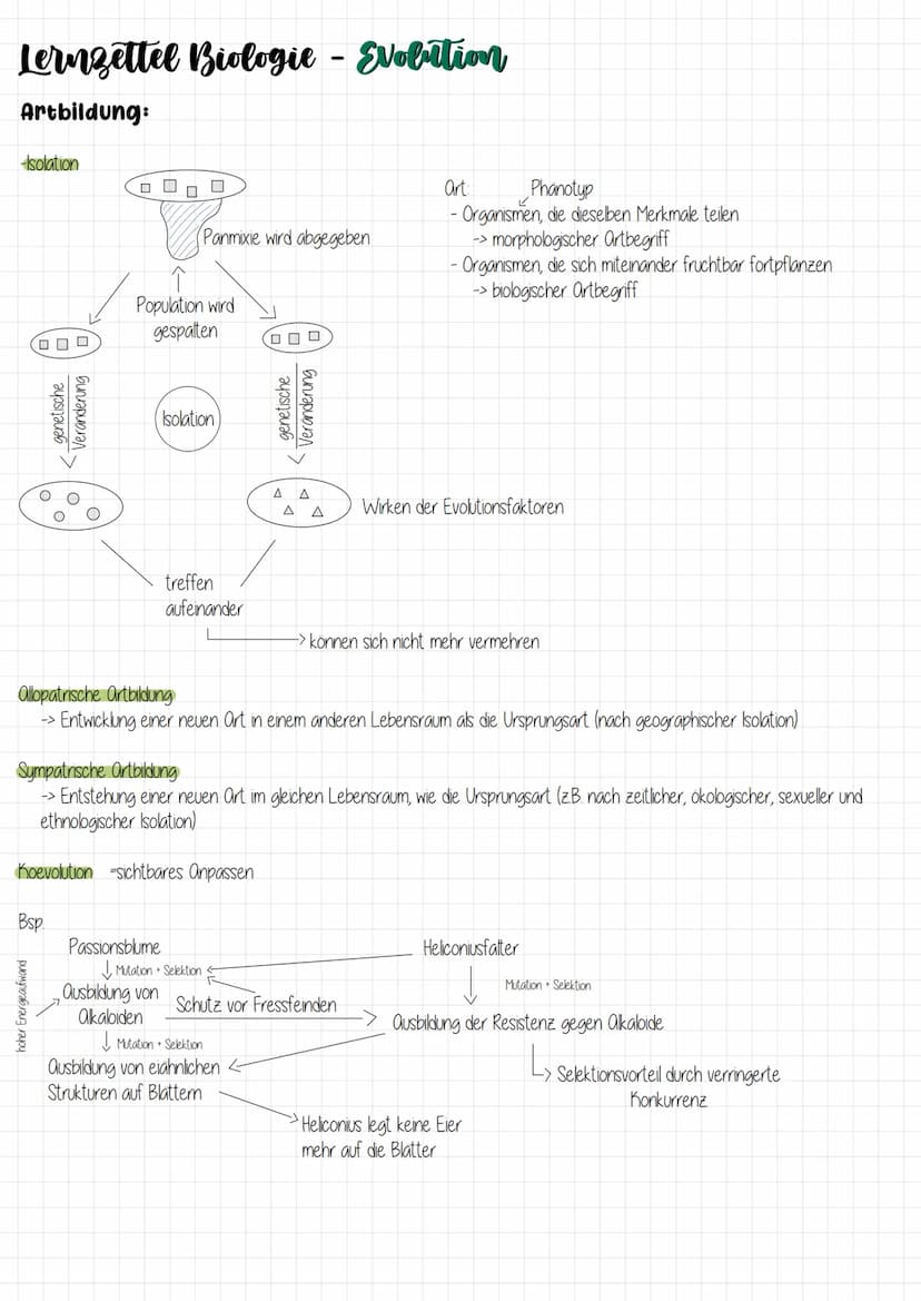 Biologie Lernzettel zum Thema:
Evolution Lernzettel Biologie - Evolution
Evolutionstheorien:
-Carl von Linné (1707-1778)
-> Ortenkonstanz
->