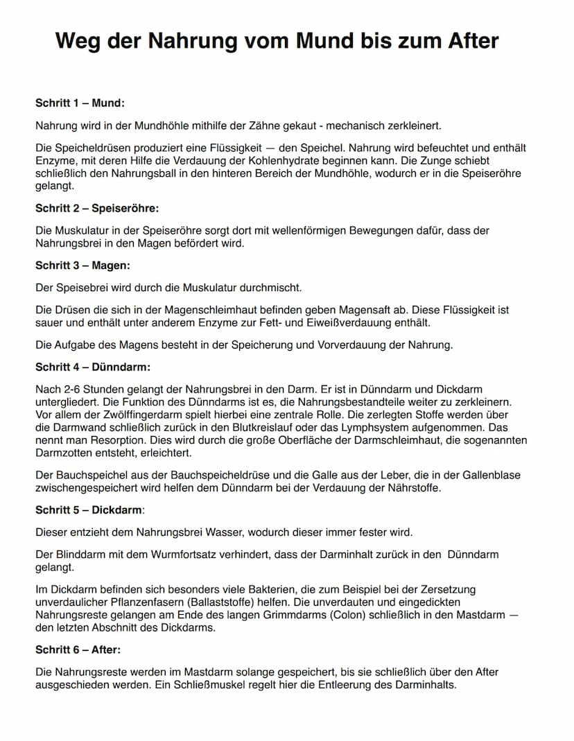 DIE EINGEWEIDE
Gallenblase
- Speicheldrüsen
-
- Bauchspeicheldrüse
- Leber
Leber
erste Gruppe:
- Mund
- Rachen und Speiseröhre
Magen
- Dünnd