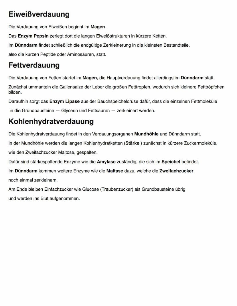 DIE EINGEWEIDE
Gallenblase
- Speicheldrüsen
-
- Bauchspeicheldrüse
- Leber
Leber
erste Gruppe:
- Mund
- Rachen und Speiseröhre
Magen
- Dünnd