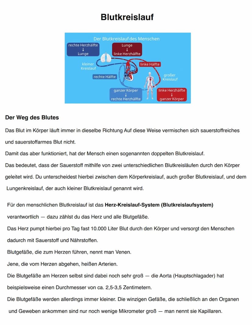 DIE EINGEWEIDE
Gallenblase
- Speicheldrüsen
-
- Bauchspeicheldrüse
- Leber
Leber
erste Gruppe:
- Mund
- Rachen und Speiseröhre
Magen
- Dünnd