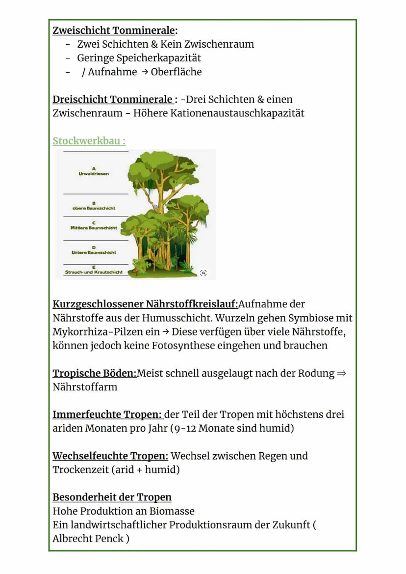 Erdkunde Glossar
Kontinentalverschiebung:
Kontinentalverschiebung: Kontinente und Ozeane schwimmen
auf einem zählbaren plastischen Erdmantel