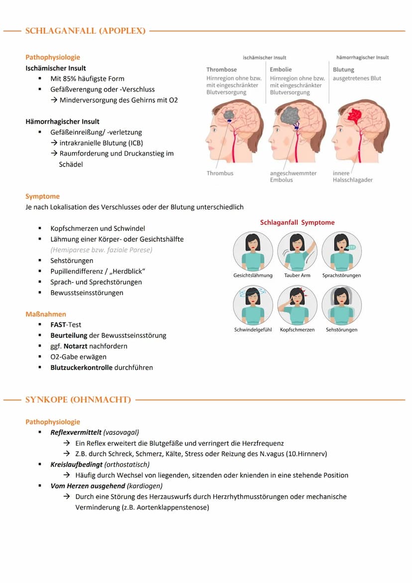 ALLGEMEINES ZUM NERVENSYSTEM
Funktion des Nervensystems
Das Nervensystem steuert die Bewegungen und
die Organfunktionen
Aufbau von Neuronen
