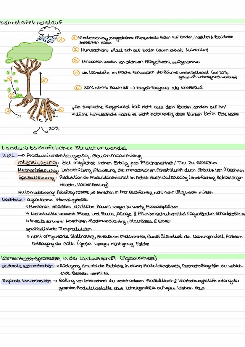 Klimadiagramm
роите
• Name Kuhastation
Berlin, Deutschland
58mūM.
°℃
80
20
40
O
LANDWIRTSCHAFT
52°8'N /11°36°0
1
Lage Grochets
2000
400
80
6