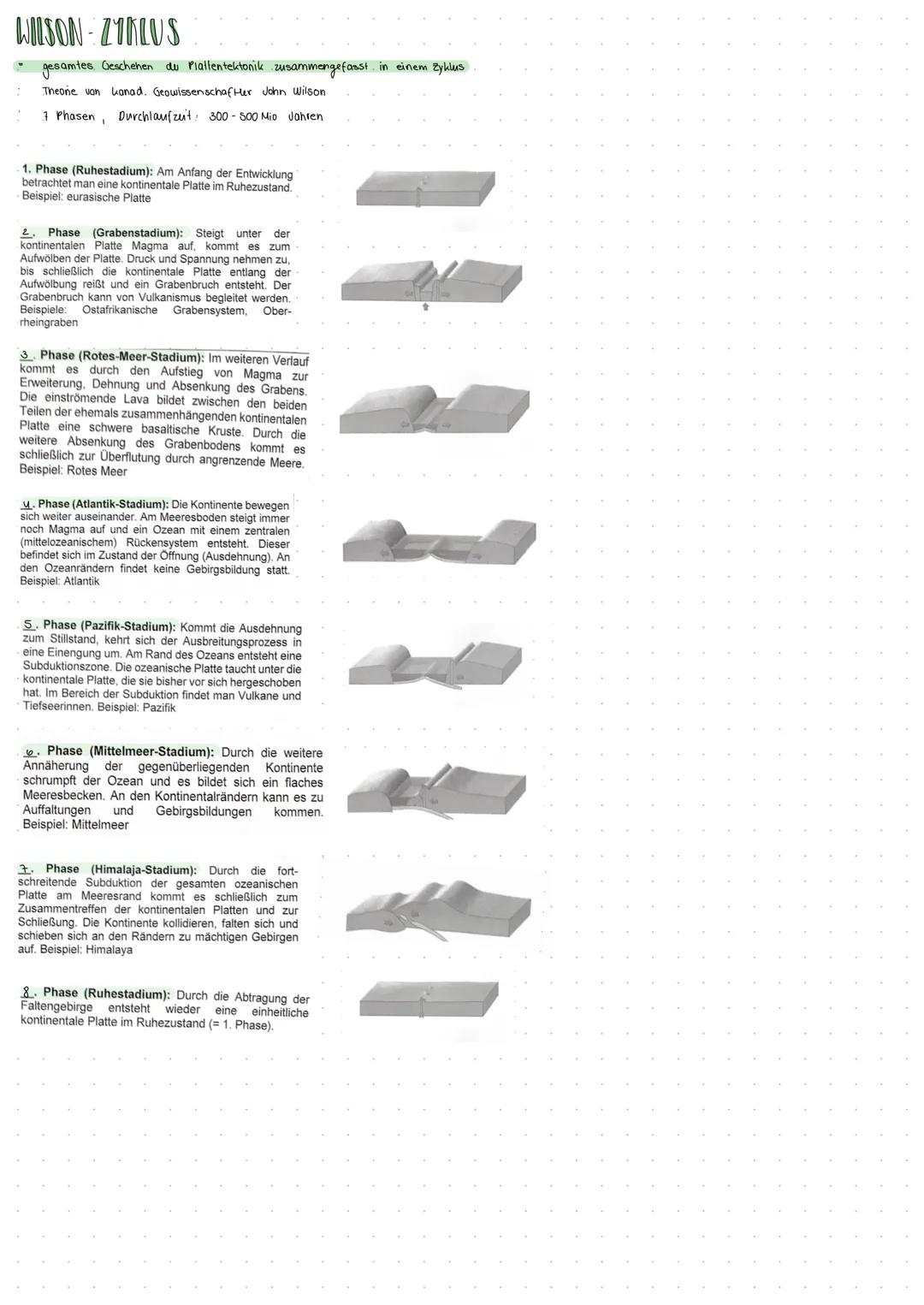WUSON-ZIKLUS
gesamtes. Geschehen du Plaflentektonik zusammengefasst. in einem Zyklus
Theone von kanad. Geowissenschafter John Wilson
7 Phase