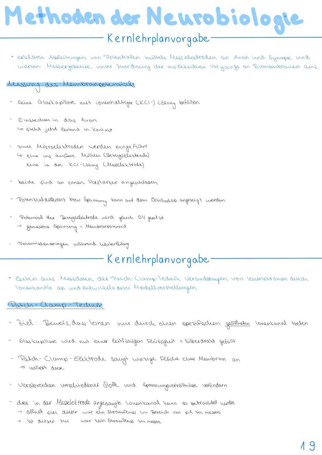 3.NEUROBIOLOGIE
Basiskonzepte
Das Basiskonzept... Struktur und Funktion beragt, dass bestimmte Strukturen auch in den
unterschiedlichsten Ti