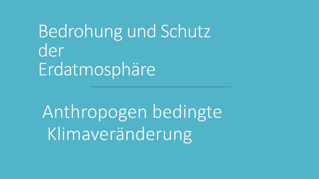 Hambacher Forst: Was ist passiert und was kann jeder gegen den Klimawandel tun?