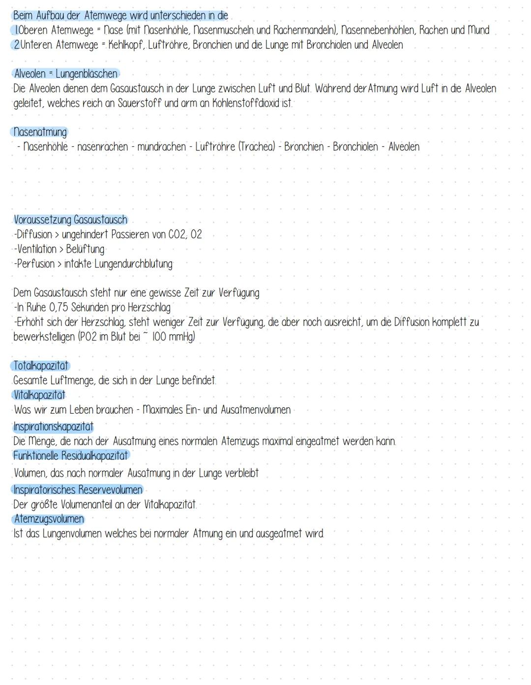 Gesundheit-Atmung Zungenbein
Schildknorpel
gefenstert
Efagengliederung des Rochens
Kehldeckel
Ringknorpel
Nasenhöhle
Luftrohre
Mundhöhle.
Zu