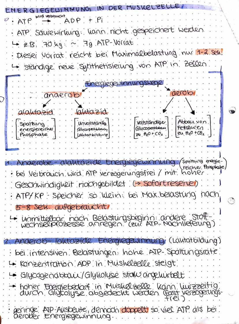 spoet keausur a
Ausdamer
Die psychische und physische Widerstandsfähigkeit gegen
Ermundung bei relativ lang dauernden. Belastungen.
und die 