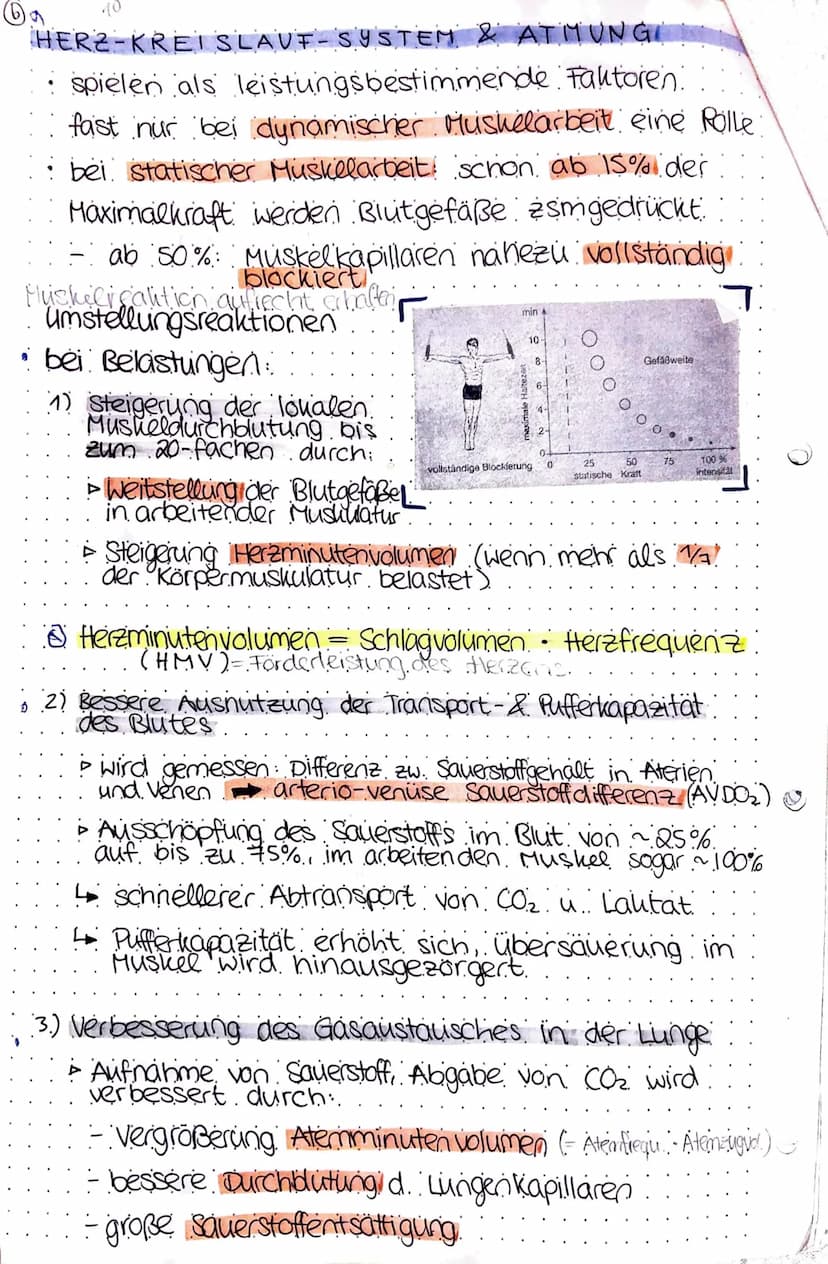 spoet keausur a
Ausdamer
Die psychische und physische Widerstandsfähigkeit gegen
Ermundung bei relativ lang dauernden. Belastungen.
und die 