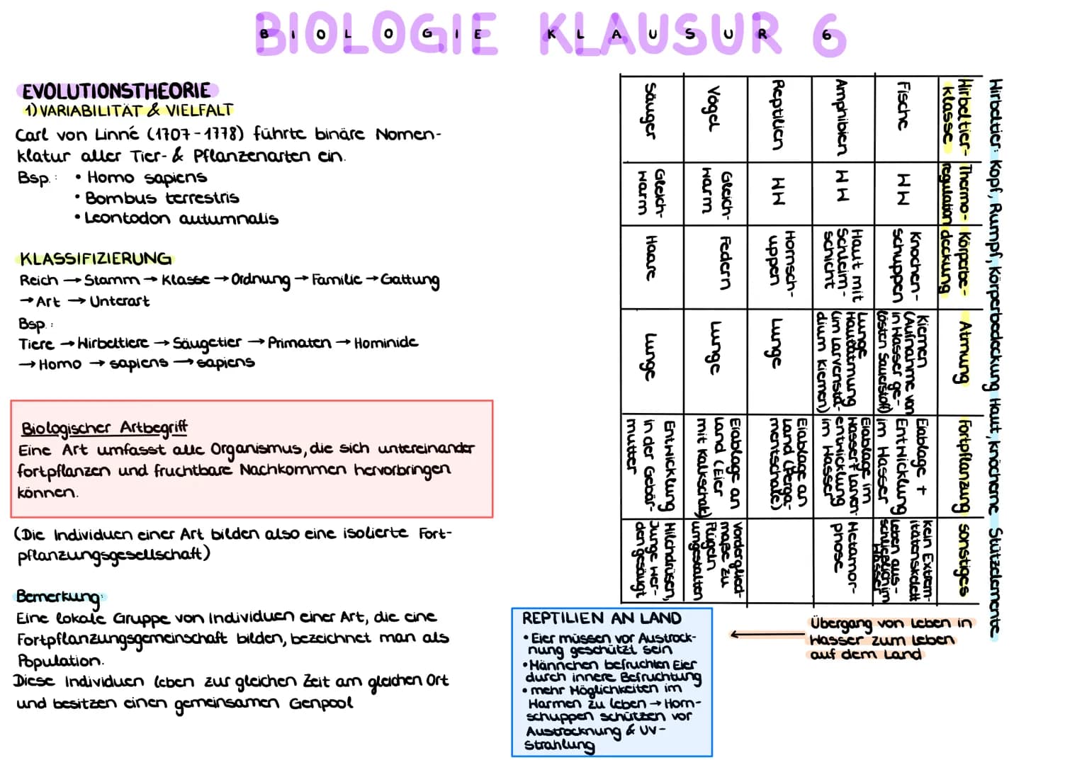 BELEGE FÜR DIE EVOLUTIONSTHEORIE
a) HOMOLOGIE ( Bauplanähnlichkeit") aufgrund Verwandt-
schaft
Homologe Organe/Strukturen sind Organc mit gl