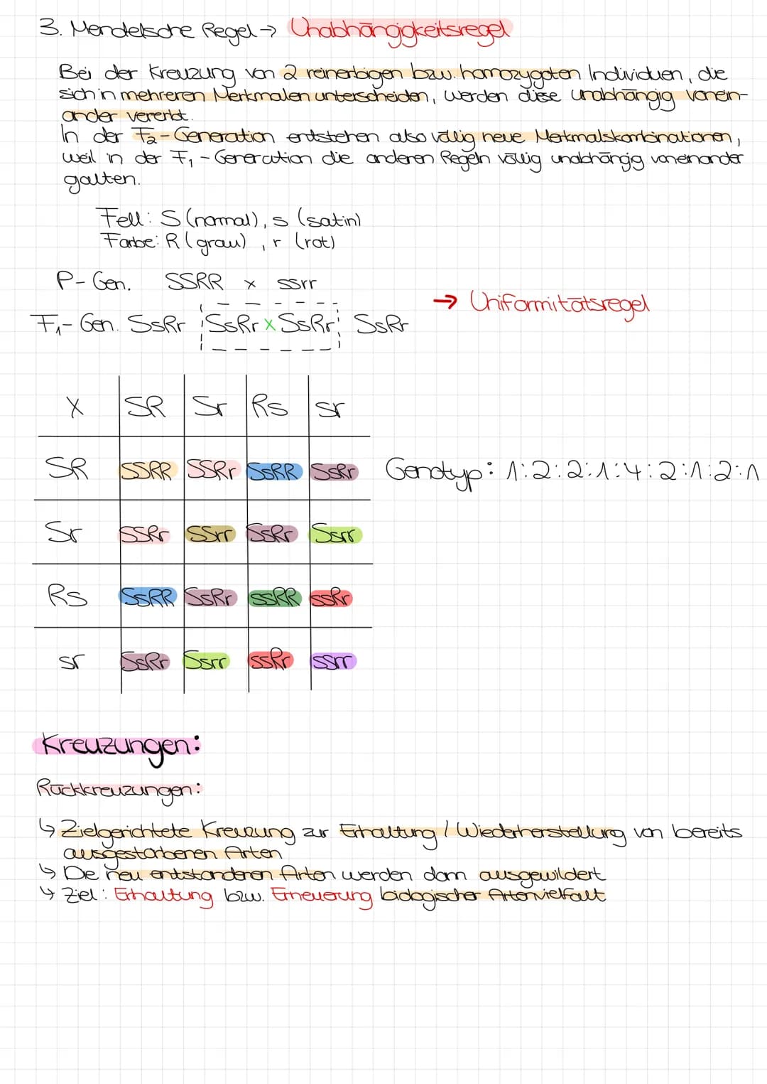 Bo Arbeit Genetik
Begriffe:
reinerbig - homozygot
=
4 da oder AA
→>>>
2 gleiche Allele
mischerbig - heterozygot
↳ Ab
Genotyp
Phänotyp
Gen: E