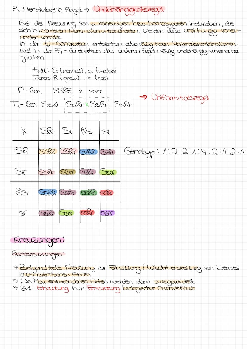 Bo Arbeit Genetik
Begriffe:
reinerbig - homozygot
=
4 da oder AA
→>>>
2 gleiche Allele
mischerbig - heterozygot
↳ Ab
Genotyp
Phänotyp
Gen: E