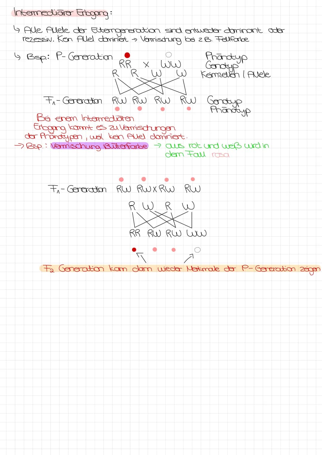 Bo Arbeit Genetik
Begriffe:
reinerbig - homozygot
=
4 da oder AA
→>>>
2 gleiche Allele
mischerbig - heterozygot
↳ Ab
Genotyp
Phänotyp
Gen: E