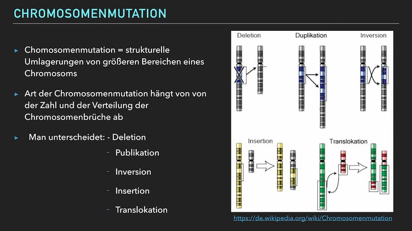 EMMA WAGENKNECHT
MUTATION GLIEDERUNG
Mutation Definition
► Mutation allgemein
► Ursachen
► Genommuationen
► Chromosomenmutation
► Genmutatio