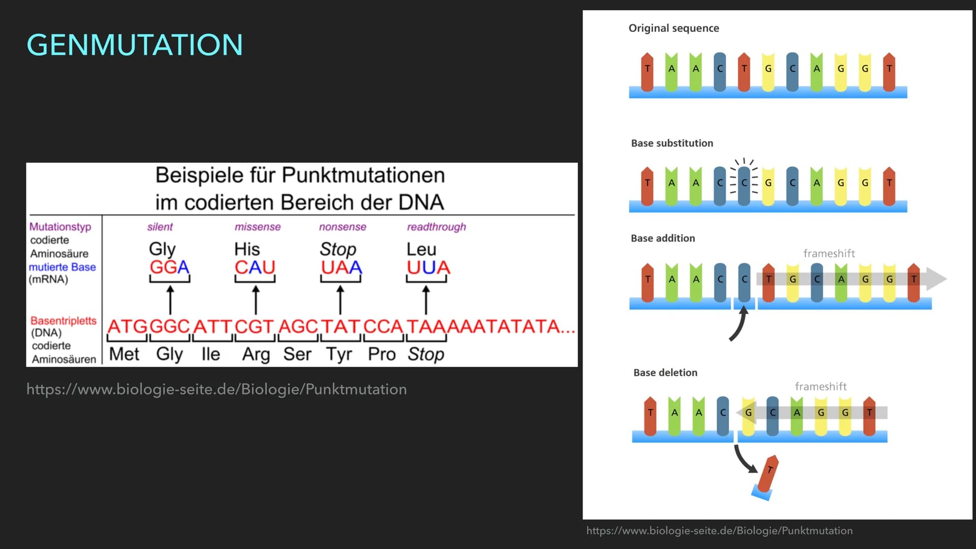 EMMA WAGENKNECHT
MUTATION GLIEDERUNG
Mutation Definition
► Mutation allgemein
► Ursachen
► Genommuationen
► Chromosomenmutation
► Genmutatio