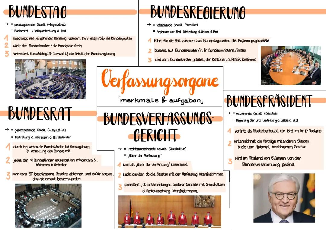 Verfassungsorgane