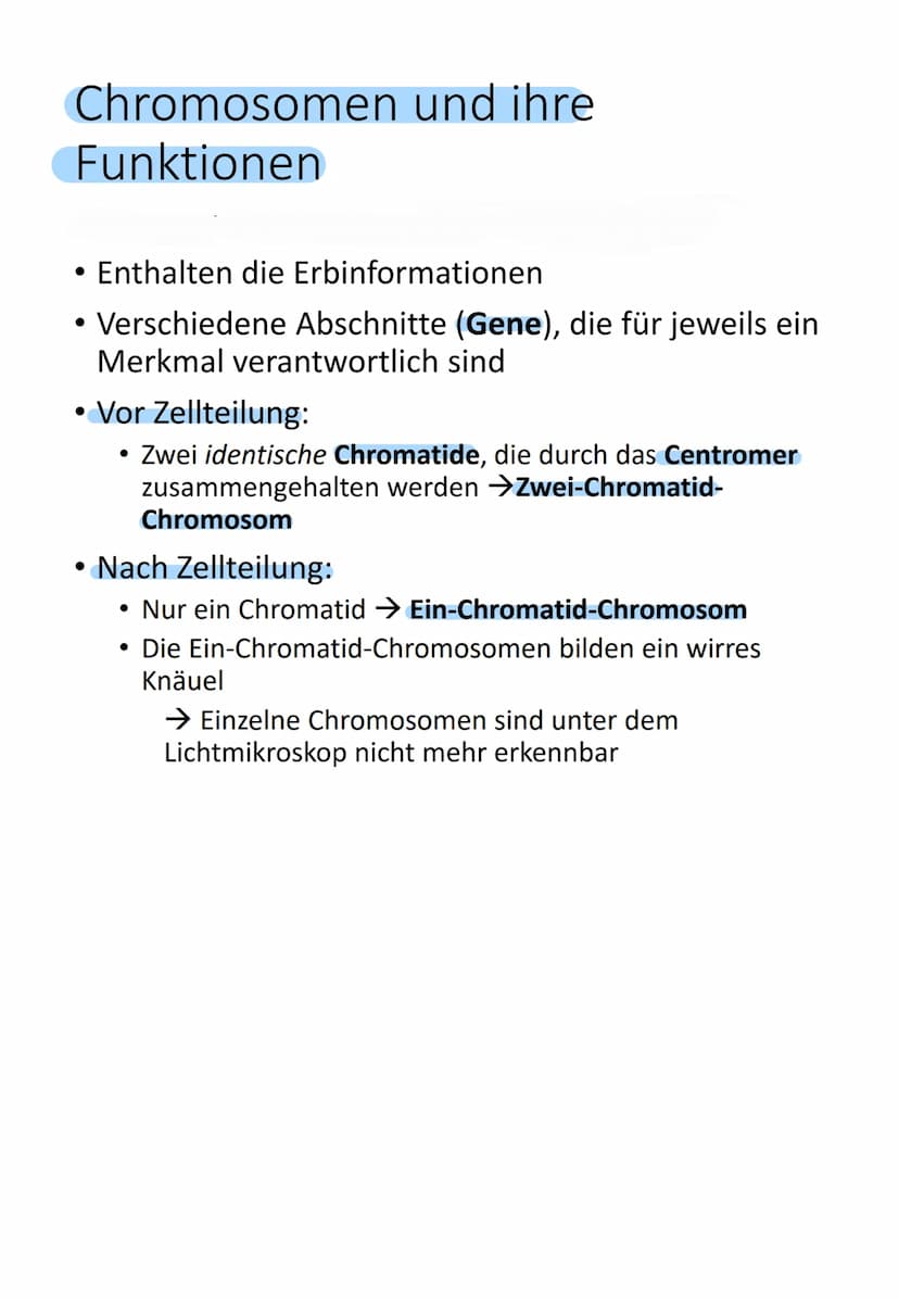 Bedeutung des Zellkerns
Enthält gesamte Information über gesamte
Entwicklung (Genom) von einer befruchteten
Eizelle (Zygote) bis zum ausgewa