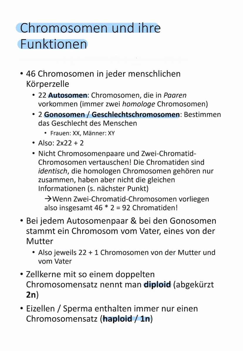 Bedeutung des Zellkerns
Enthält gesamte Information über gesamte
Entwicklung (Genom) von einer befruchteten
Eizelle (Zygote) bis zum ausgewa