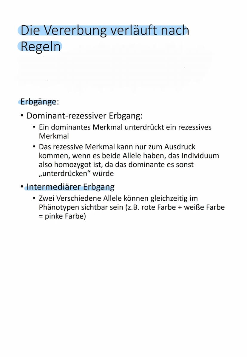 Bedeutung des Zellkerns
Enthält gesamte Information über gesamte
Entwicklung (Genom) von einer befruchteten
Eizelle (Zygote) bis zum ausgewa