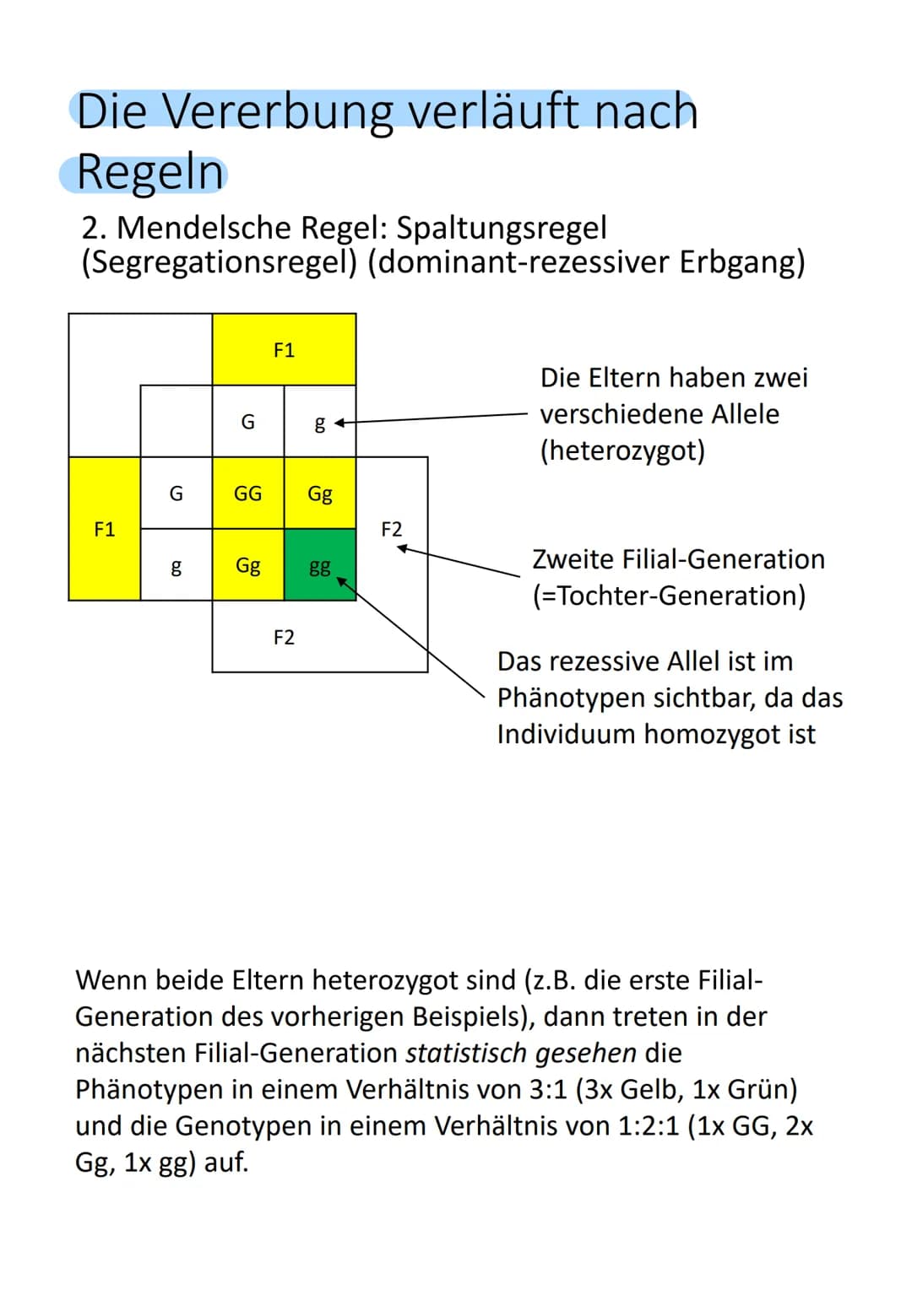 Bedeutung des Zellkerns
Enthält gesamte Information über gesamte
Entwicklung (Genom) von einer befruchteten
Eizelle (Zygote) bis zum ausgewa