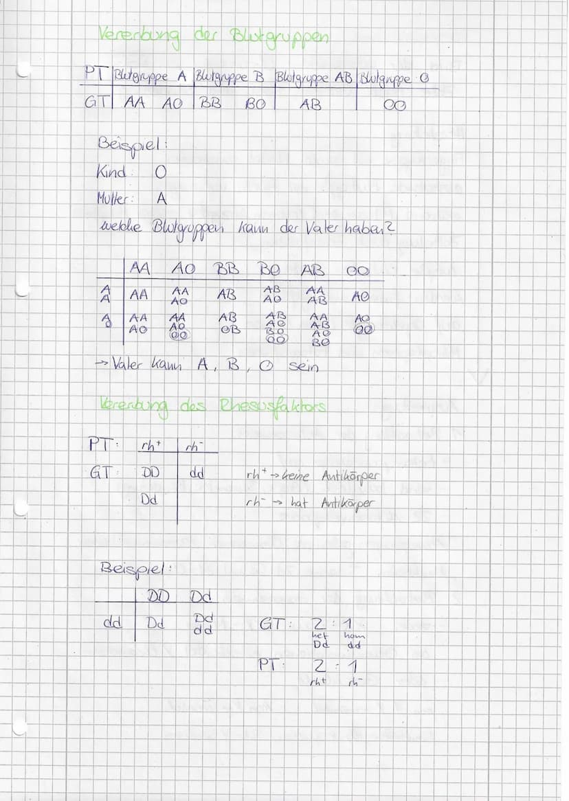 Mendelsehe Regein
1. Mendelsche Regel (Uniformitätsregel)
Kreezt man
reinerbige Individuen, die sich in
einem Merkmal unterscheiden, so sind