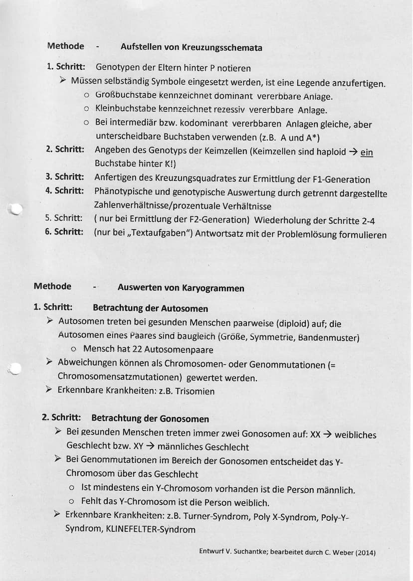 Mendelsehe Regein
1. Mendelsche Regel (Uniformitätsregel)
Kreezt man
reinerbige Individuen, die sich in
einem Merkmal unterscheiden, so sind