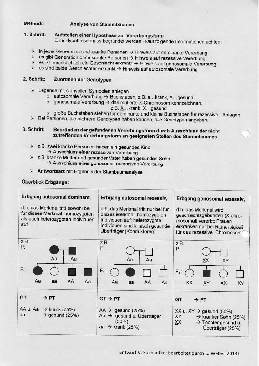 Mendelsehe Regein
1. Mendelsche Regel (Uniformitätsregel)
Kreezt man
reinerbige Individuen, die sich in
einem Merkmal unterscheiden, so sind