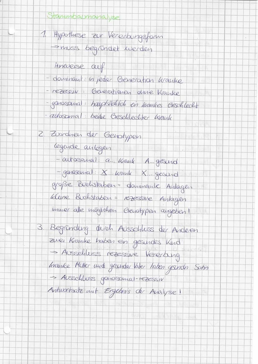 Mendelsehe Regein
1. Mendelsche Regel (Uniformitätsregel)
Kreezt man
reinerbige Individuen, die sich in
einem Merkmal unterscheiden, so sind