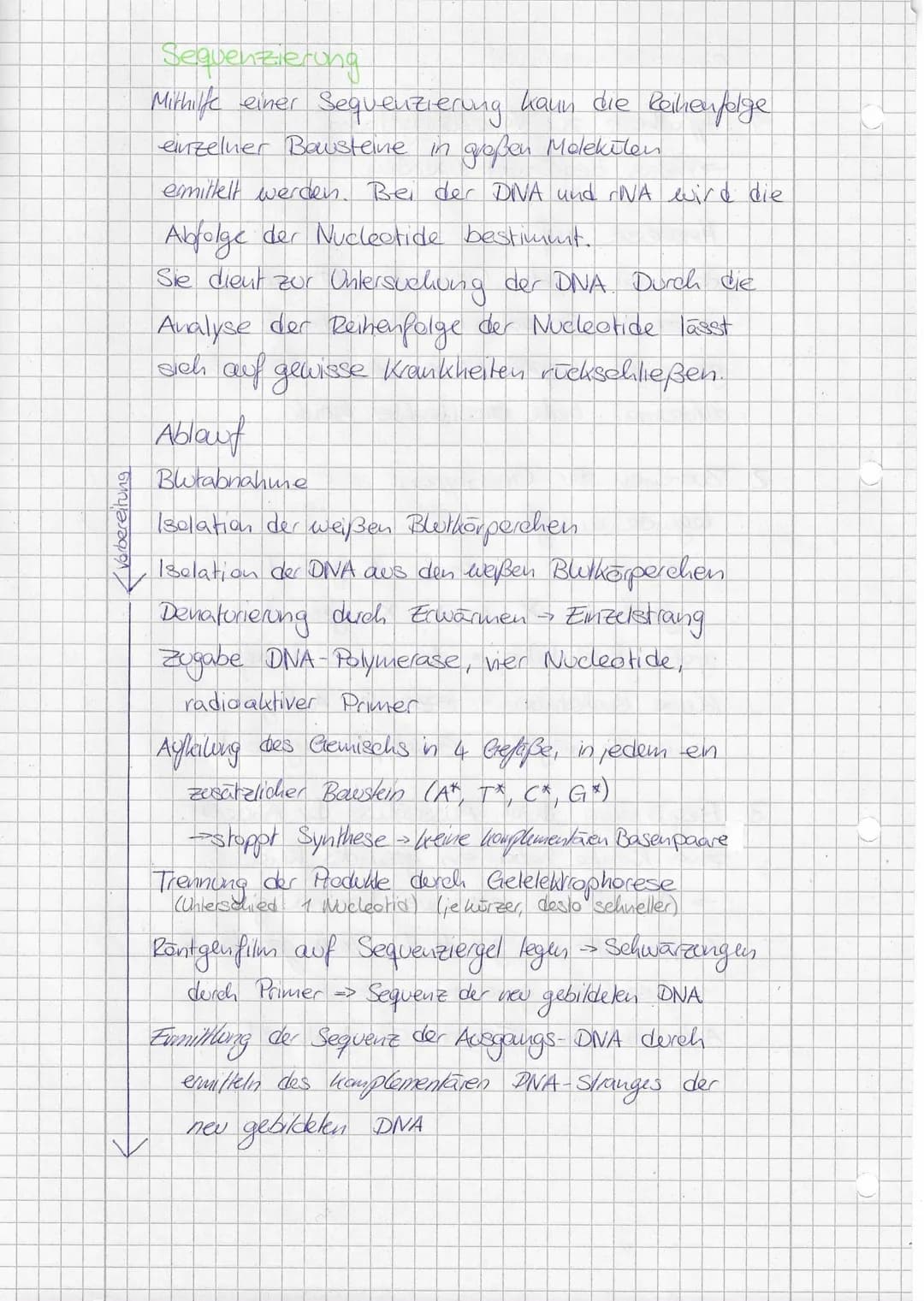 Mendelsehe Regein
1. Mendelsche Regel (Uniformitätsregel)
Kreezt man
reinerbige Individuen, die sich in
einem Merkmal unterscheiden, so sind