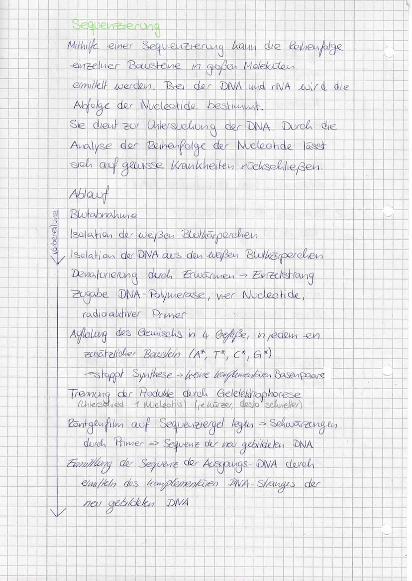 Mendelsehe Regein
1. Mendelsche Regel (Uniformitätsregel)
Kreezt man
reinerbige Individuen, die sich in
einem Merkmal unterscheiden, so sind