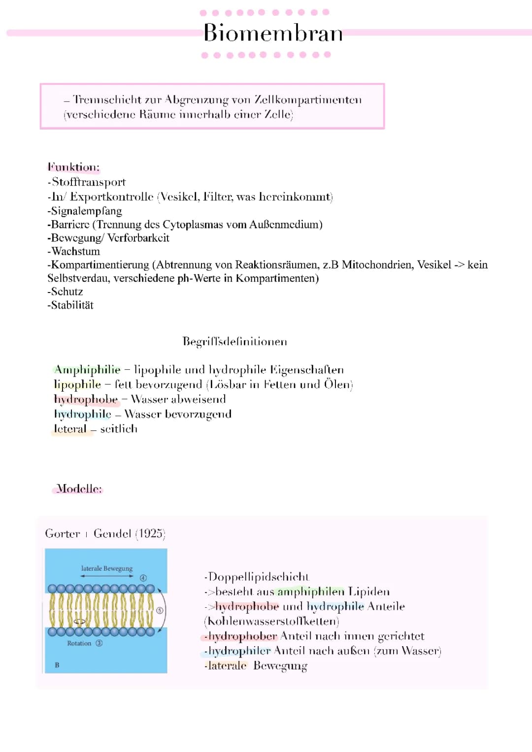Biomembran (Modelle und Funktion)