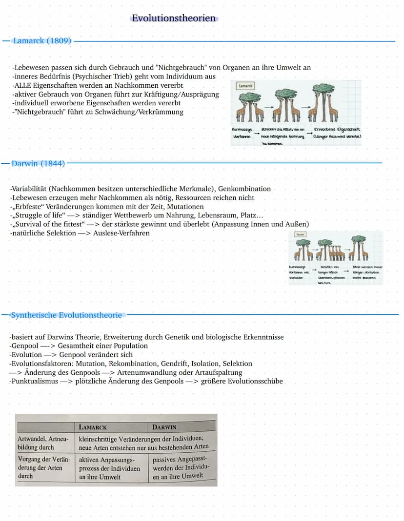 Leistungskurs
Genetik
Meiose und Rekombination
Analyse von Familienstammbäu-
men
✓
Proteinbiosynthese
Genregulation
Entwicklung eines Modell