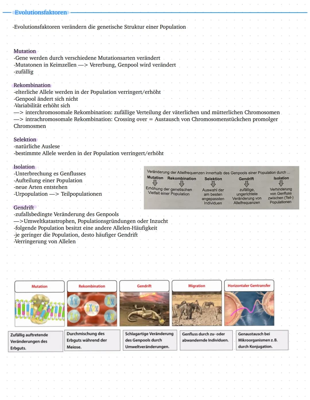 Leistungskurs
Genetik
Meiose und Rekombination
Analyse von Familienstammbäu-
men
✓
Proteinbiosynthese
Genregulation
Entwicklung eines Modell