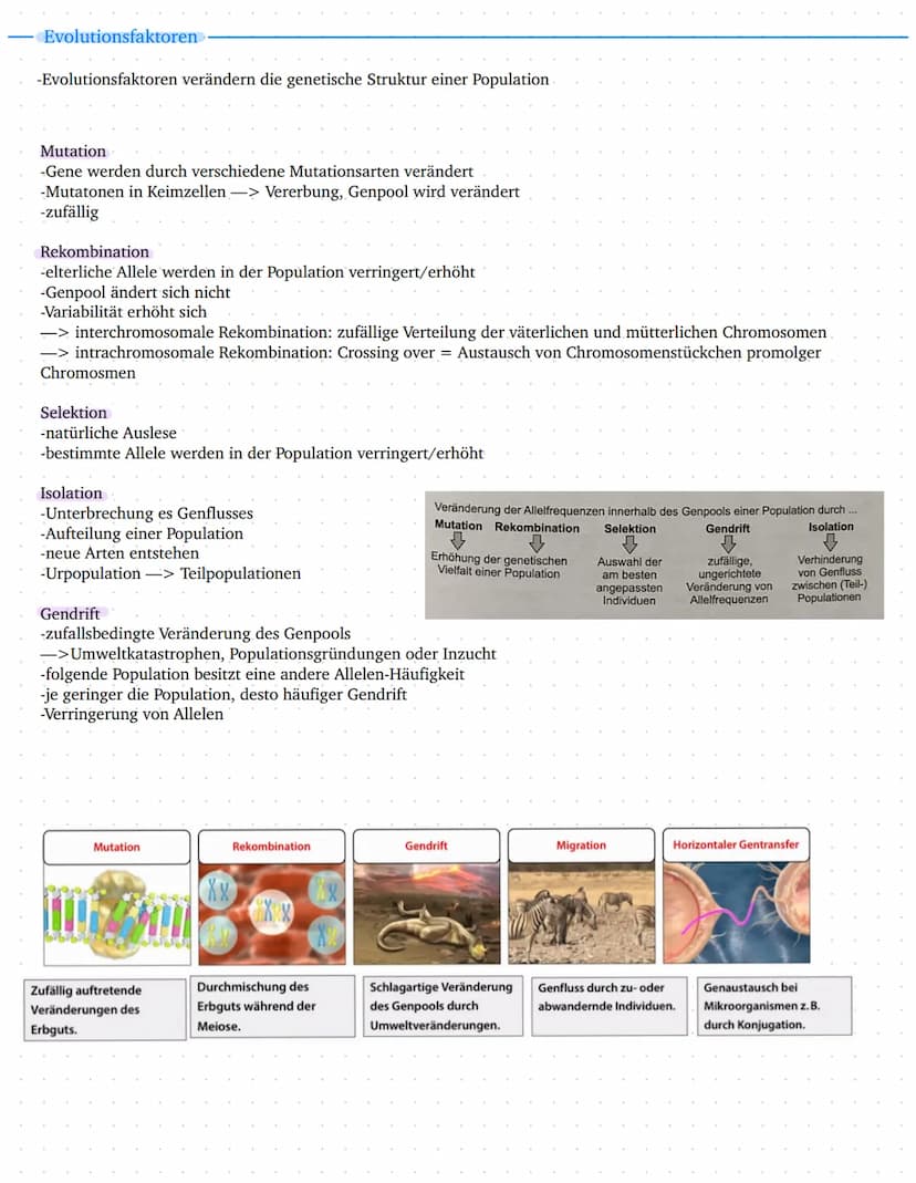 Leistungskurs
Genetik
Meiose und Rekombination
Analyse von Familienstammbäu-
men
✓
Proteinbiosynthese
Genregulation
Entwicklung eines Modell